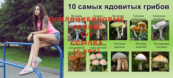 ALPHA-PVP Богданович
