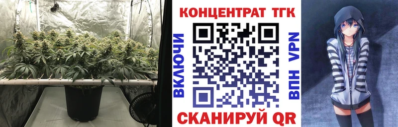 купить наркоту  Южноуральск  ТГК концентрат 