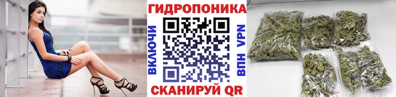 Бошки Шишки White Widow  купить наркоту  Южноуральск 